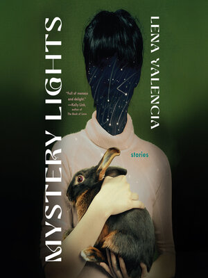 cover image of Mystery Lights